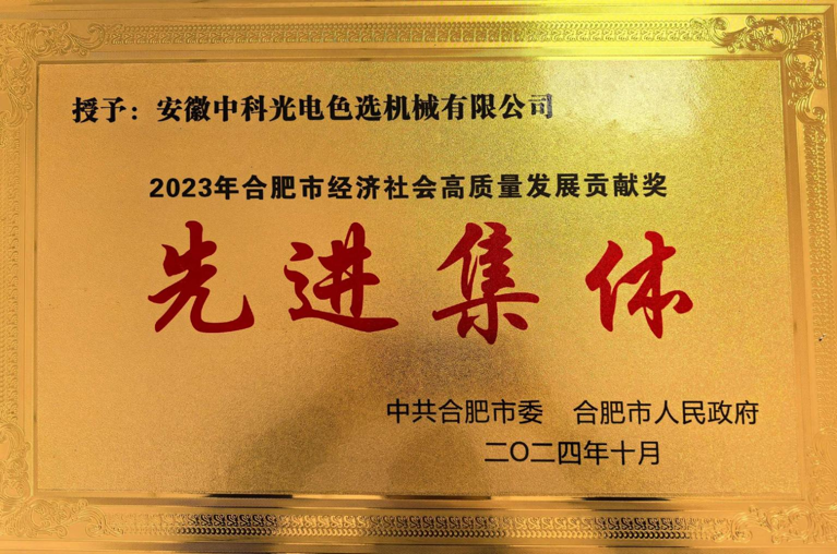 929-合肥市經濟社會發展高質量發展先進集體